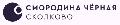 увеличить Чёрная Смородина Сколково в Москве